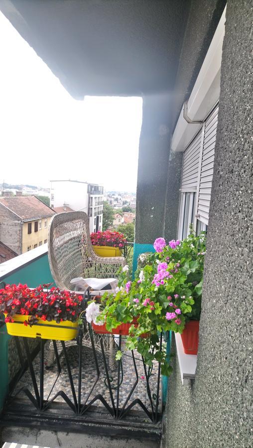 Garden Apartment Belgrade Exterior photo